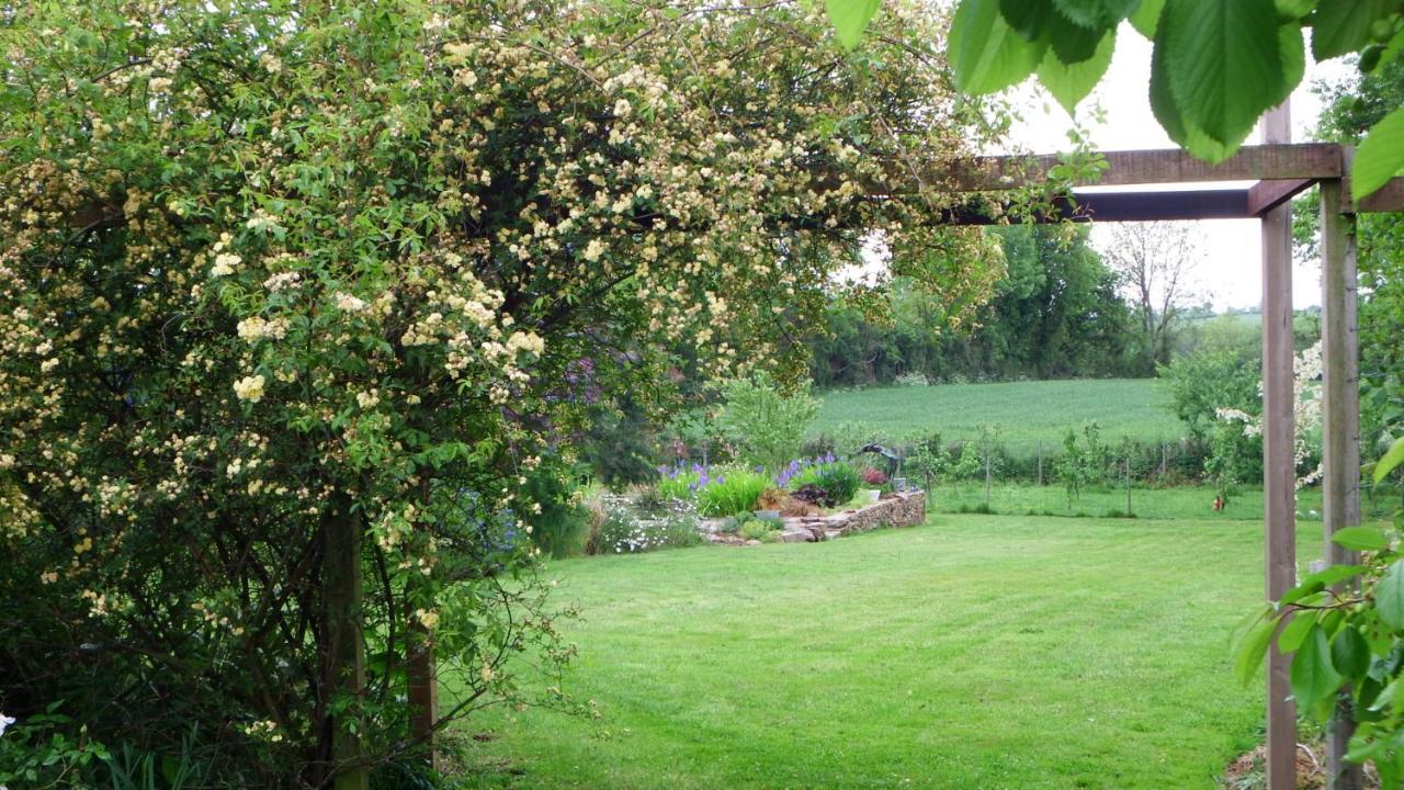 Les Cerisiere Bed and Breakfast Cheffois Eksteriør billede
